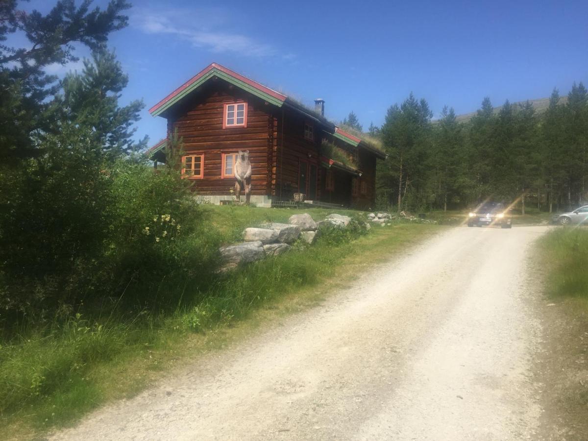 Rondane Sollia Friluftsliv Ovre Nordli Villa Exteriör bild